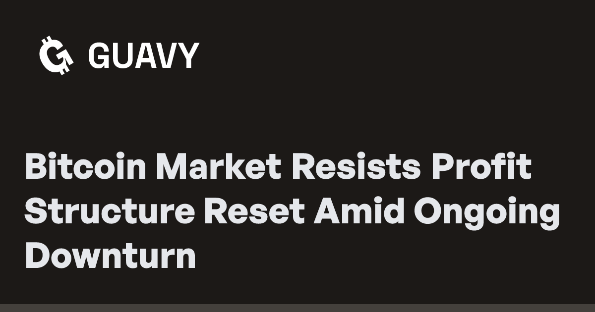 Bitcoin Market Resists Profit Structure Reset Amid Ongoing Downturn